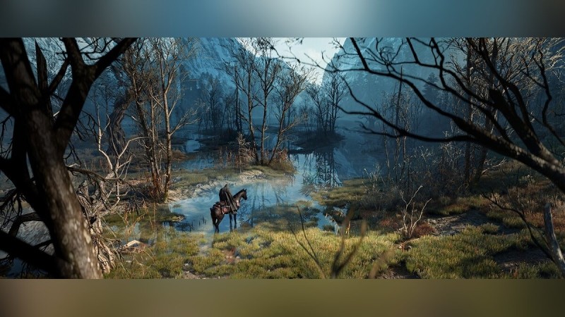 Фанат показал невероятные скриншоты The Witcher 3, которые можно спутать с артами