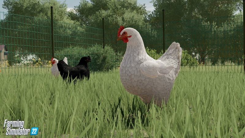 Гайд по животным в Farming Simulator 22 — как разводить пчел, кур, овец, лошадей, свиней и коров