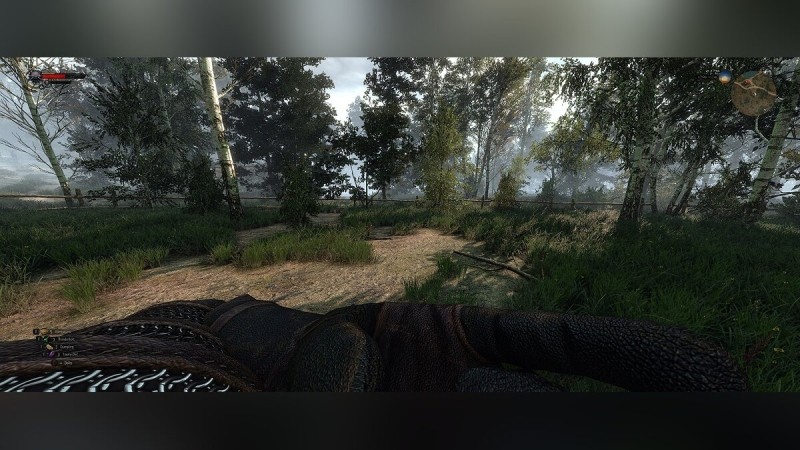Моддер добавил в некстген-версию The Witcher 3 режим от первого лица как в Skyrim — видео