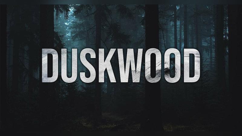 Прохождение Duskwood (1-10 эпизоды): все ответы и развилки в диалогах