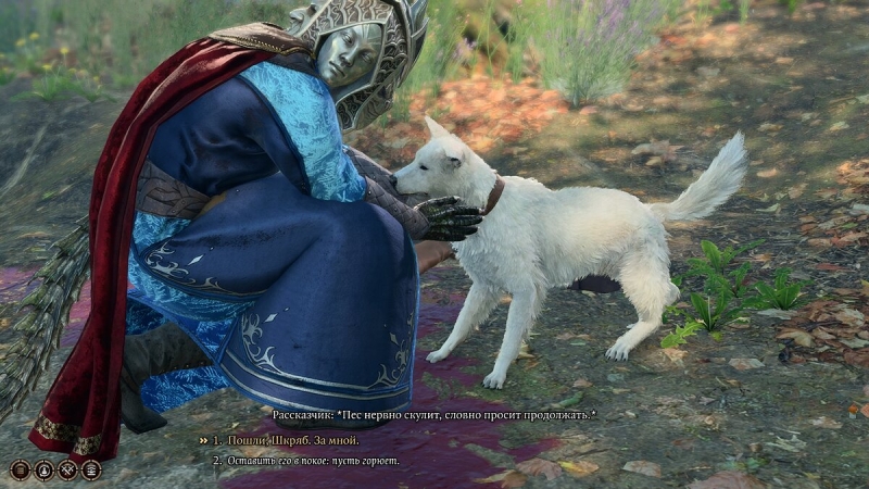 Как найти собаку по кличке Шкряб в Baldur's Gate 3 — как приручить пса и поиграть с ним в мяч
