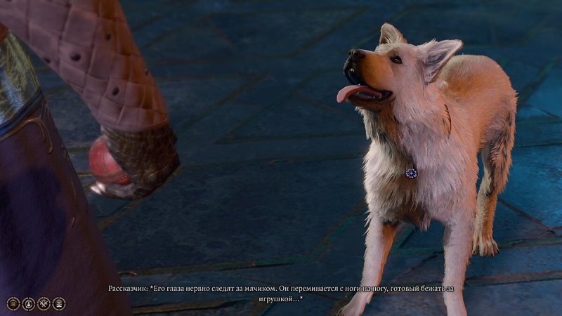 Как найти собаку по кличке Шкряб в Baldur's Gate 3 — как приручить пса и поиграть с ним в мяч